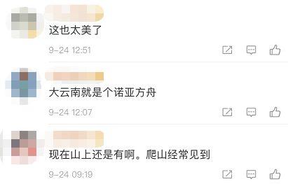 热点视频爆料点击进入,点击进入，探寻事件全貌  第2张